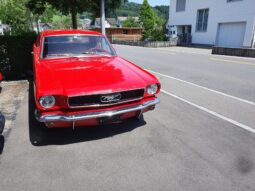 FORD MUSTANG (Limousine) voll