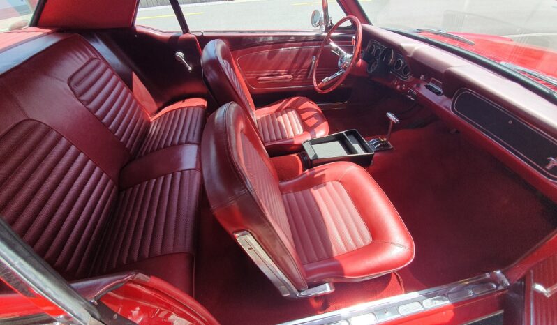 FORD MUSTANG (Limousine) voll