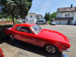 FORD MUSTANG (Limousine)