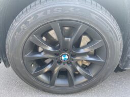 BMW X6 xDrive 50i Steptronic voll